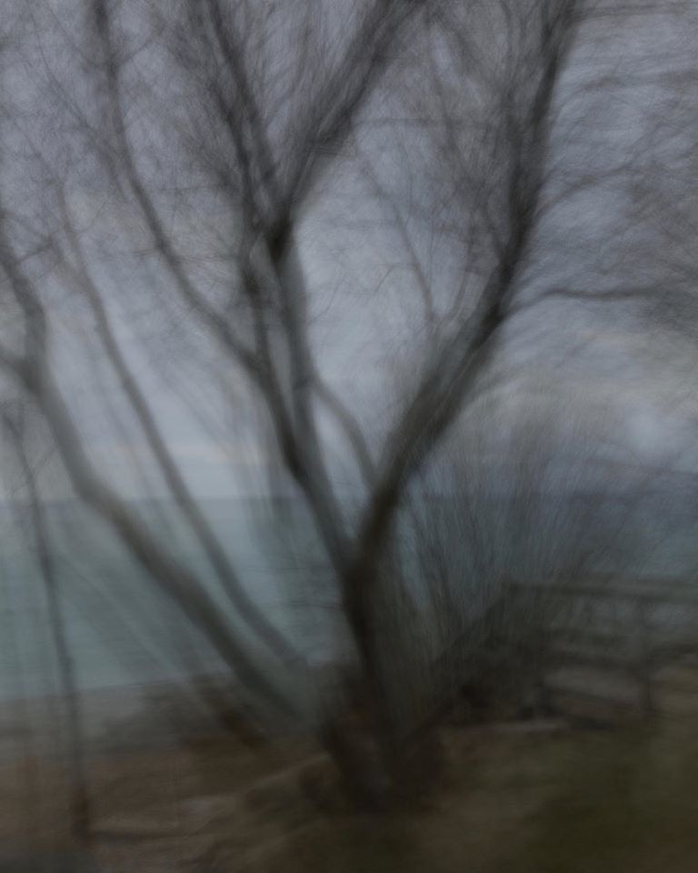 Untitled - Valerie D Cargo