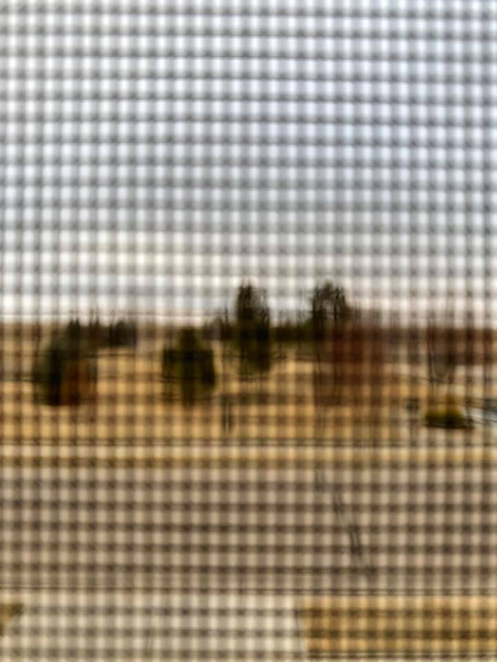 Corona Days. “The Wait”. - Valerie Burke