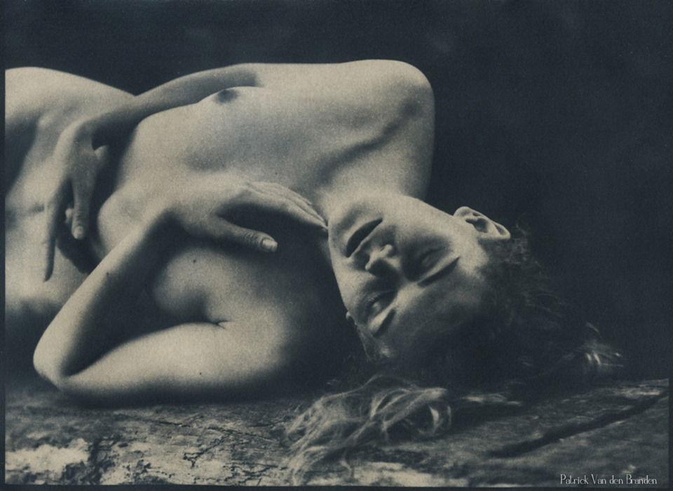 "Rêve - Ri"  - Patrick Van Den Branden