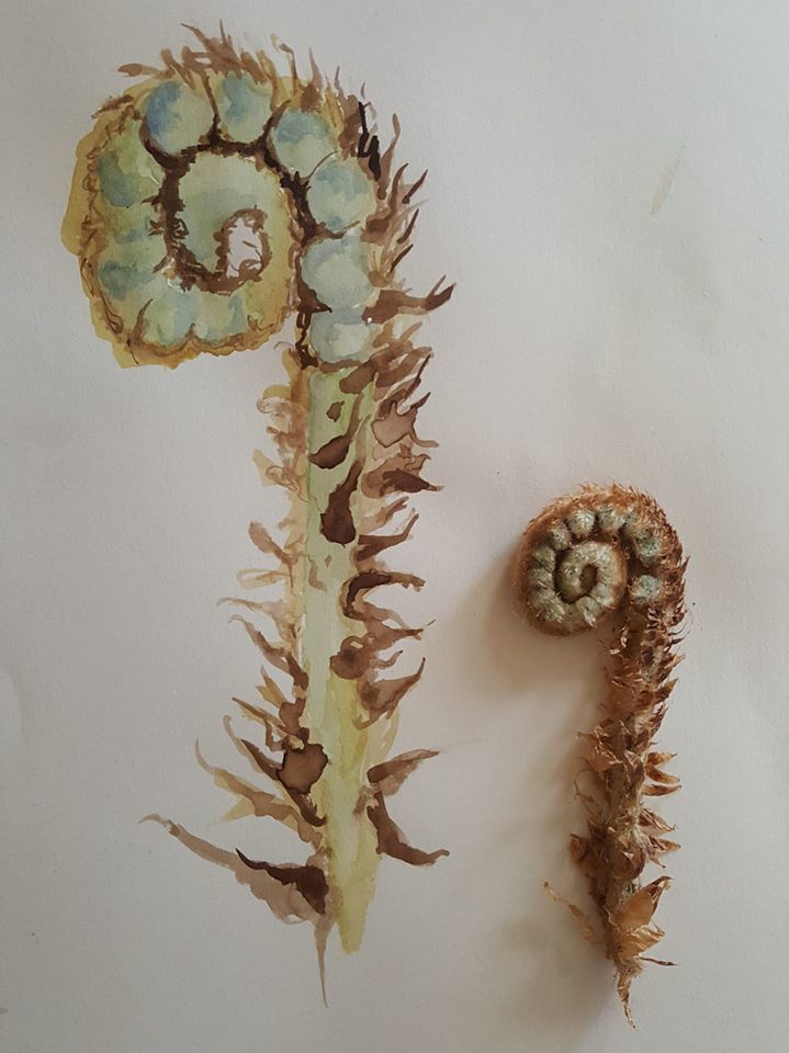 Untitled - Annabel Hill