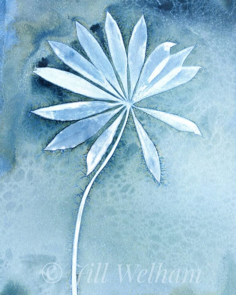 Untitled - Jill Welham