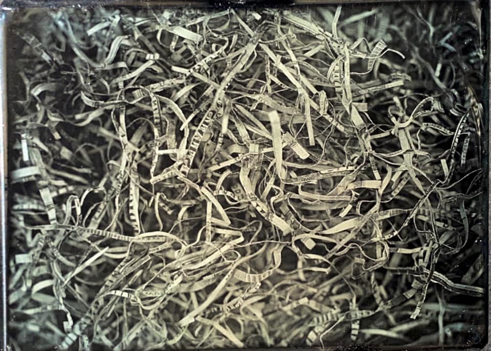 Nest (for Spring 2020). - Greg Martin