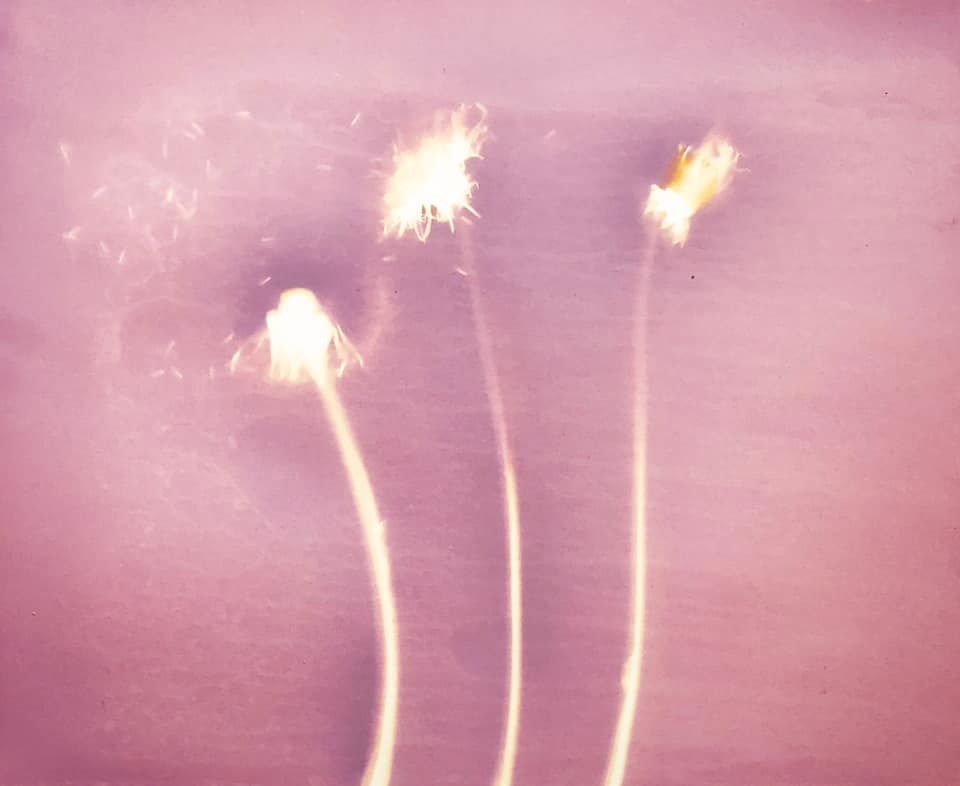 Untitled - Meredith Wilson