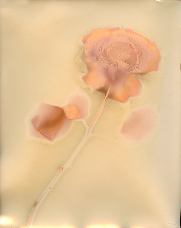 Untitled - Gordon Fraser