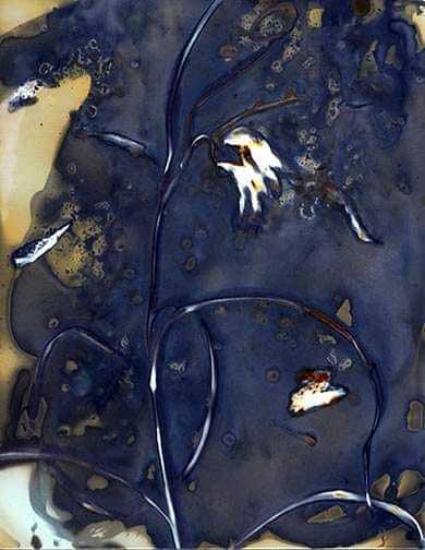 Untitled - Sarah Darke