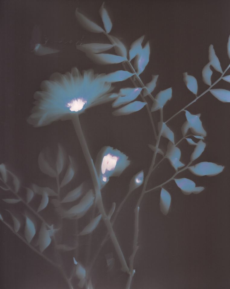 Untitled - Emilie Grand-Clement