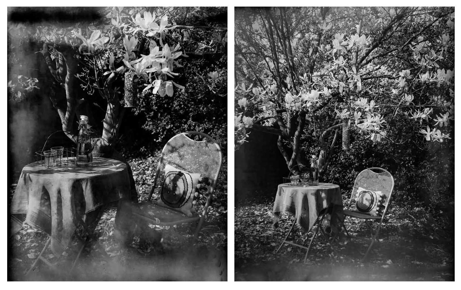 Untitled - Meredith Wilson