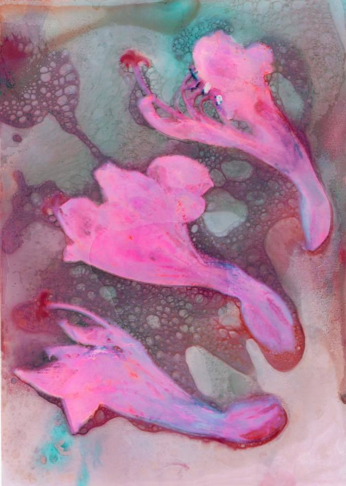 'in the sea' - Helen Billington