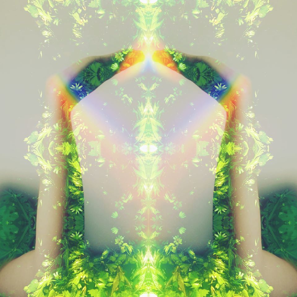 'Plant Magic': - Josie Seydel