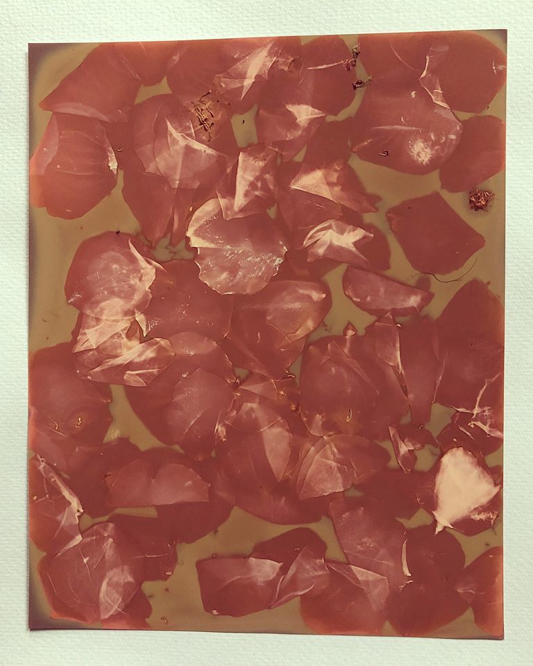 Untitled - Nicola Williams