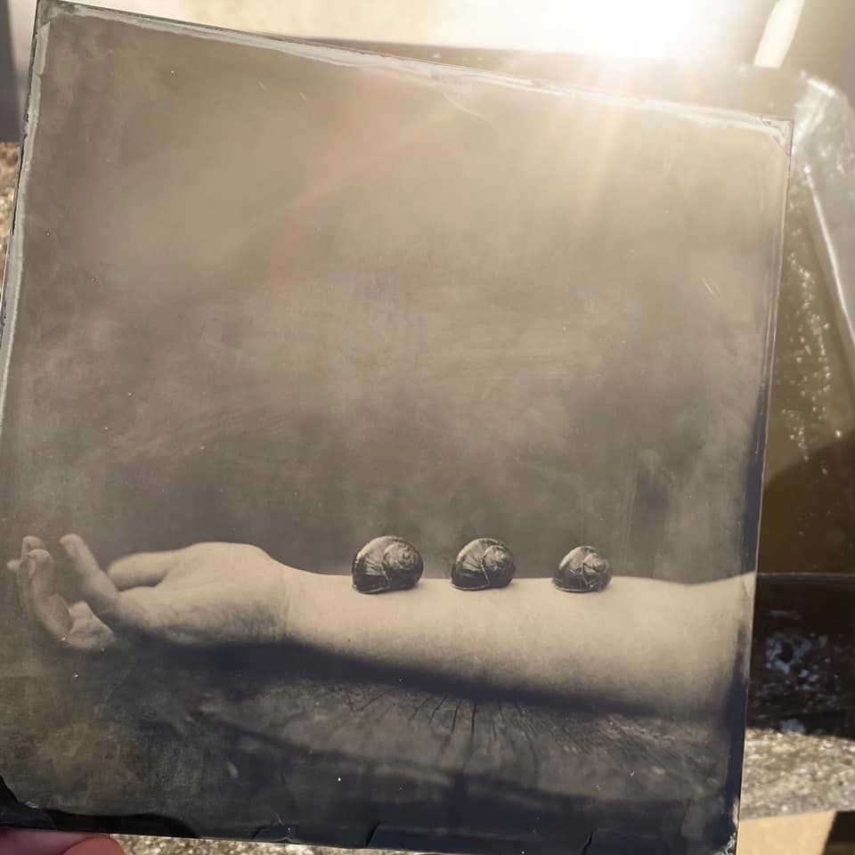 Untitled - Denis Ziliotto