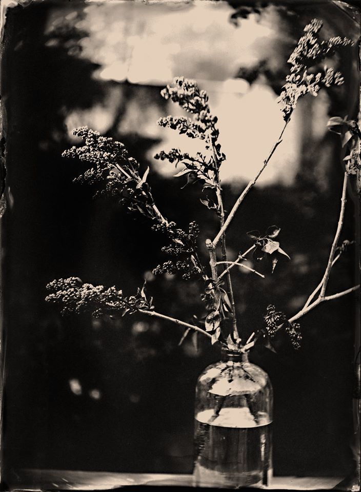 Untitled - Hank Peters