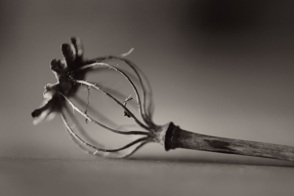 Untitled - Andrew Sanderson