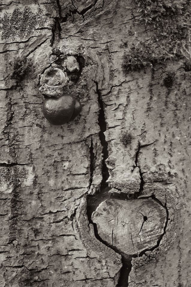 Untitled - Andrew Sanderson