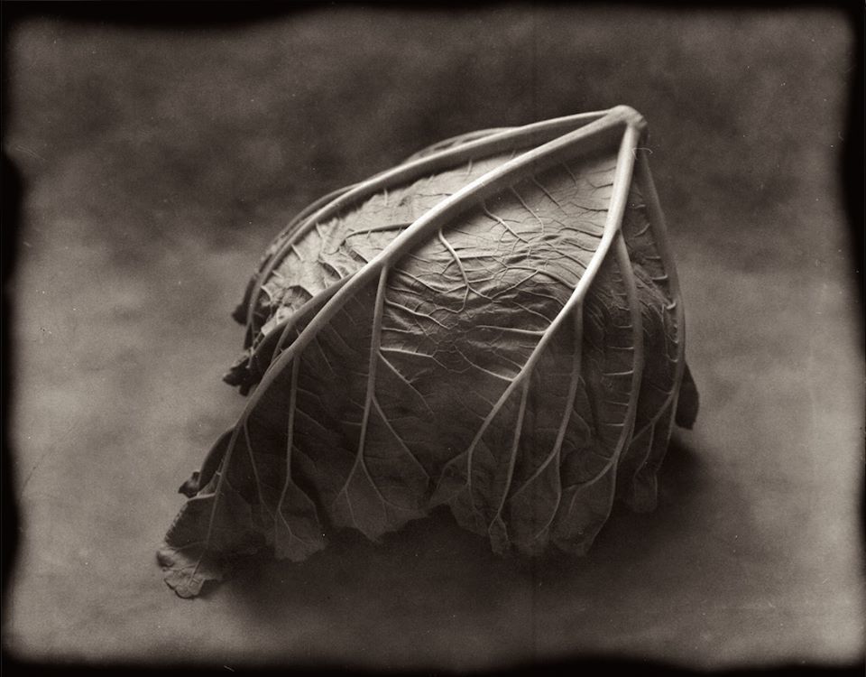 Untitled - Andrew Sanderson