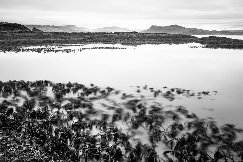 Untitled - Andrew Tobin