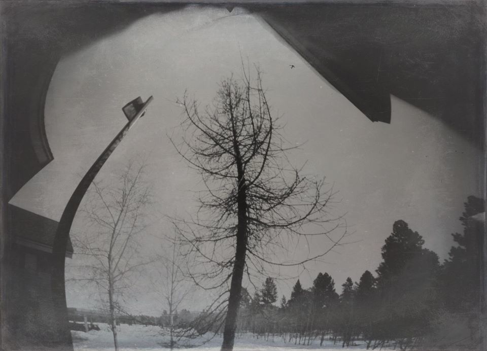 social distancing - Diane Paterson