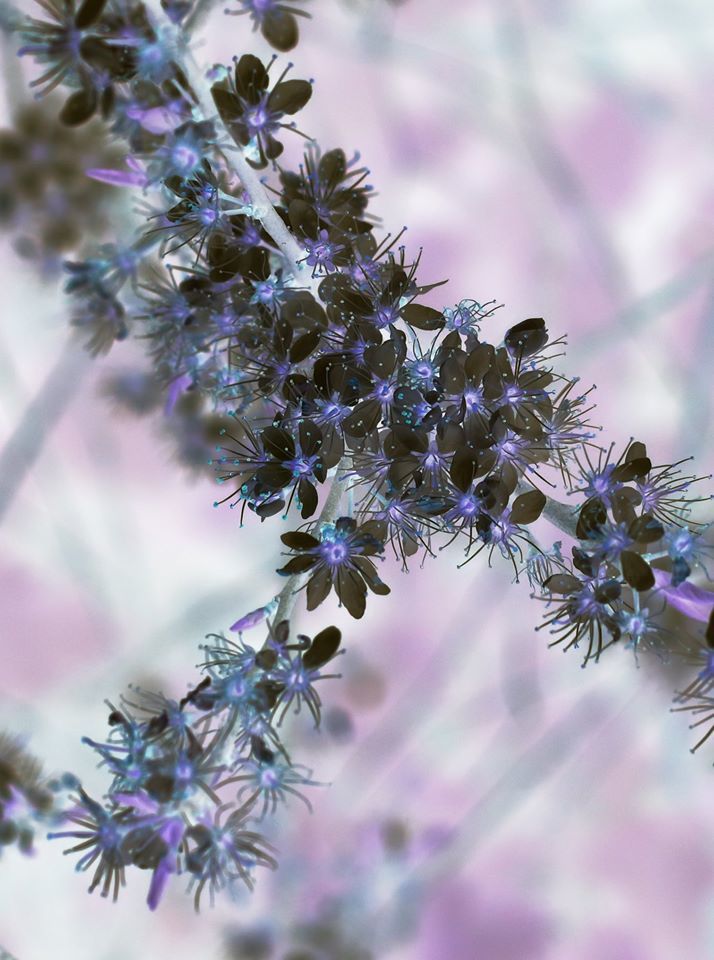 Untitled - Emma Wheeler