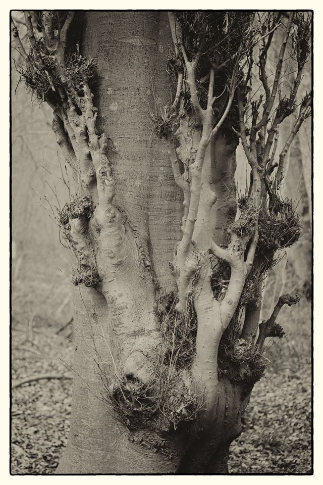 Untitled - Emma Wheeler
