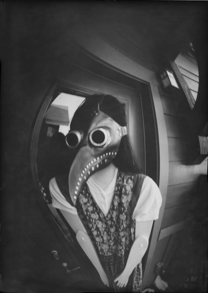 My masked visitor - Diane Peterson