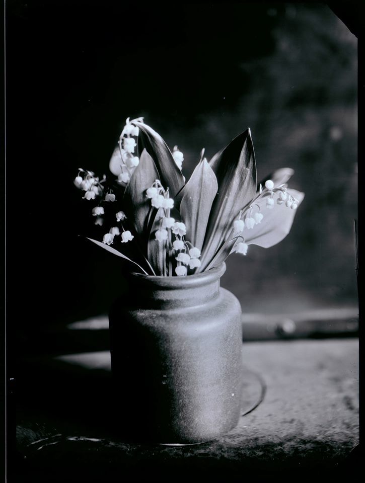 Lily of the valley - Andy Billington