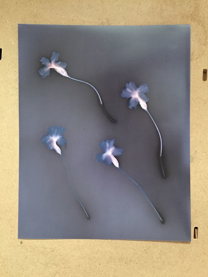 Untitled - Toby Vandevelde