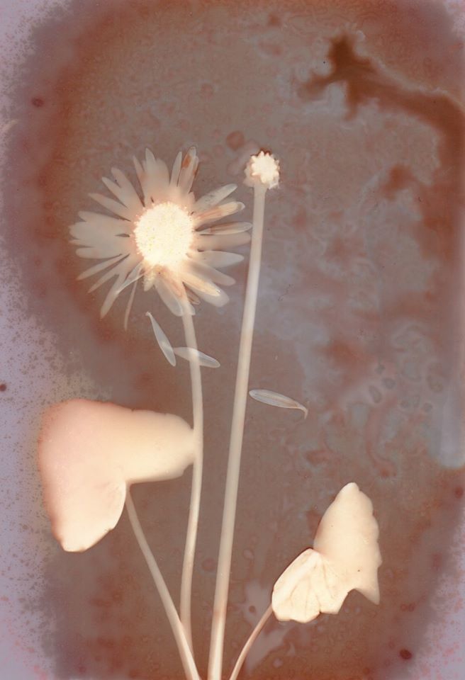 Untitled - Emilie Grand-Clement