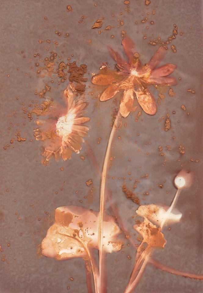 Untitled - Emilie Grand-Clement