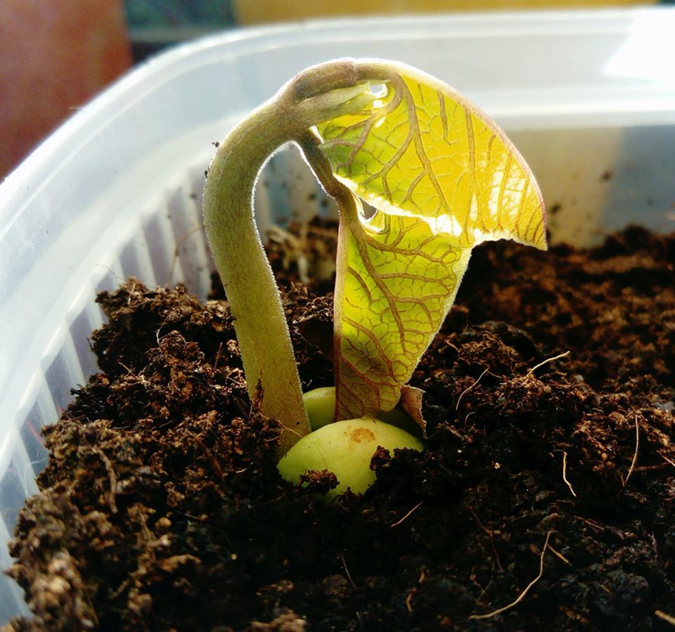 Untitled - Helen Billington