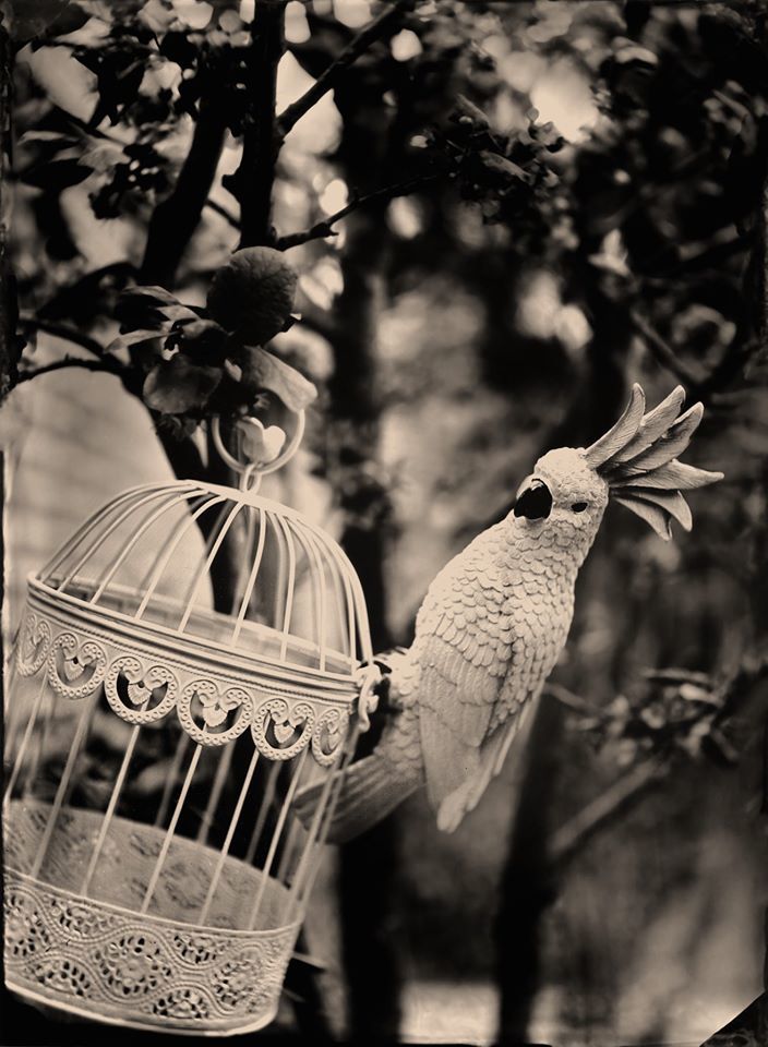 Untitled - Hank Peters