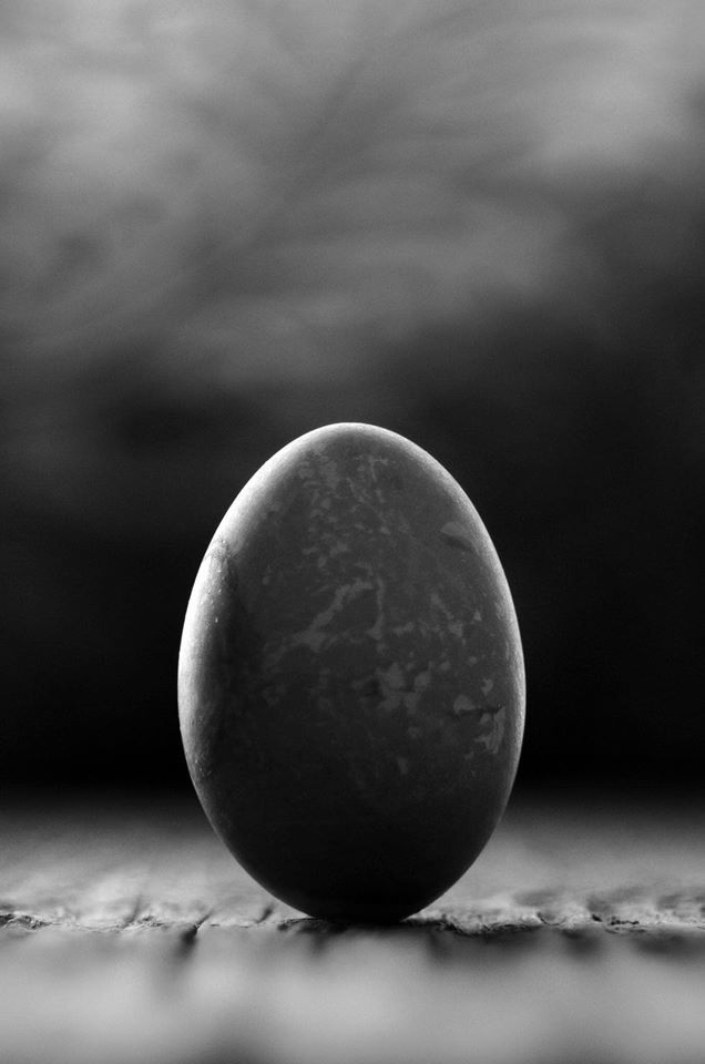 Untitled - Andrius Narvicius
