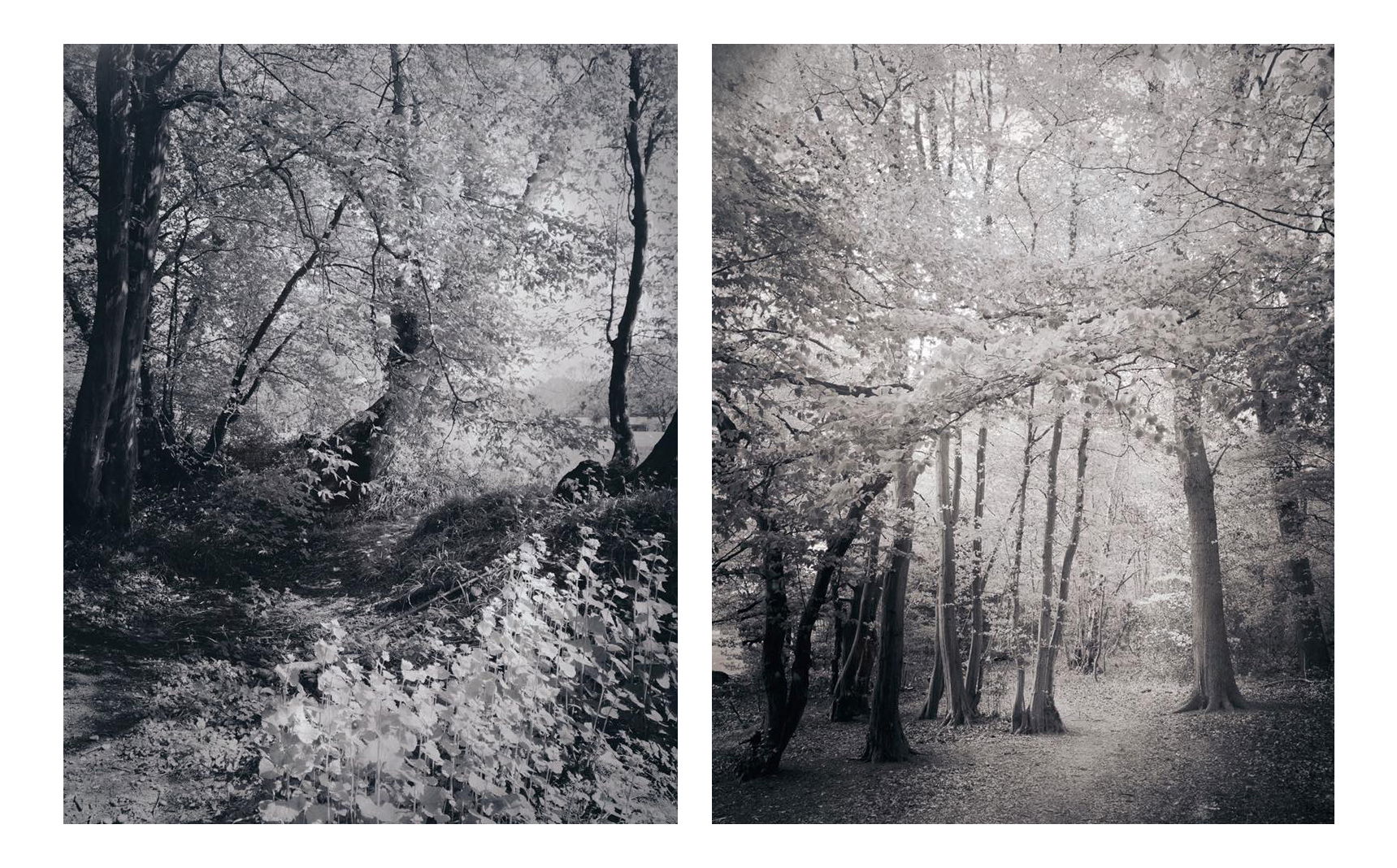 Untitled - Meredith Wilson
