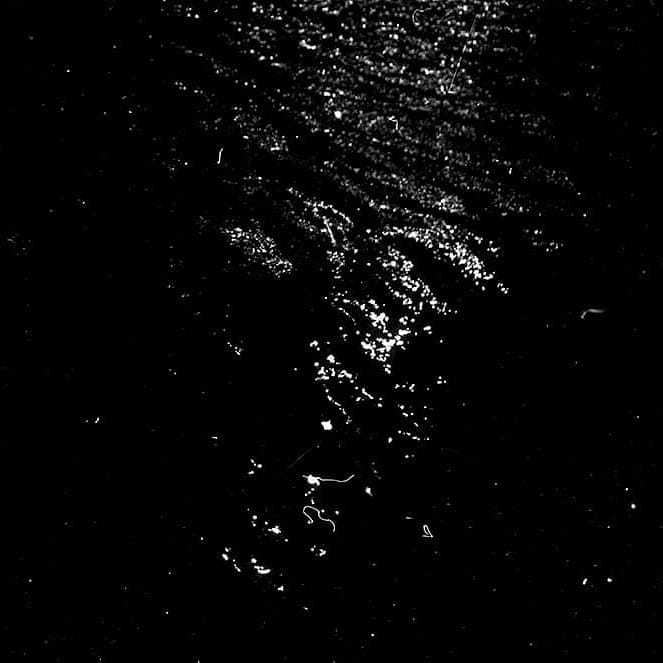 Untitled - Melanie Kathryn King