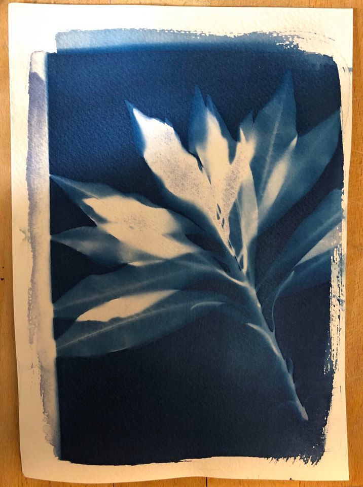 Untitled - Hilary Clarke