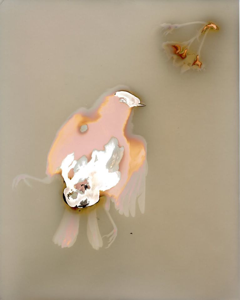 Untitled - Gordon Fraser
