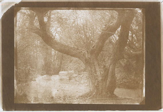 Untitled - Jo Gane