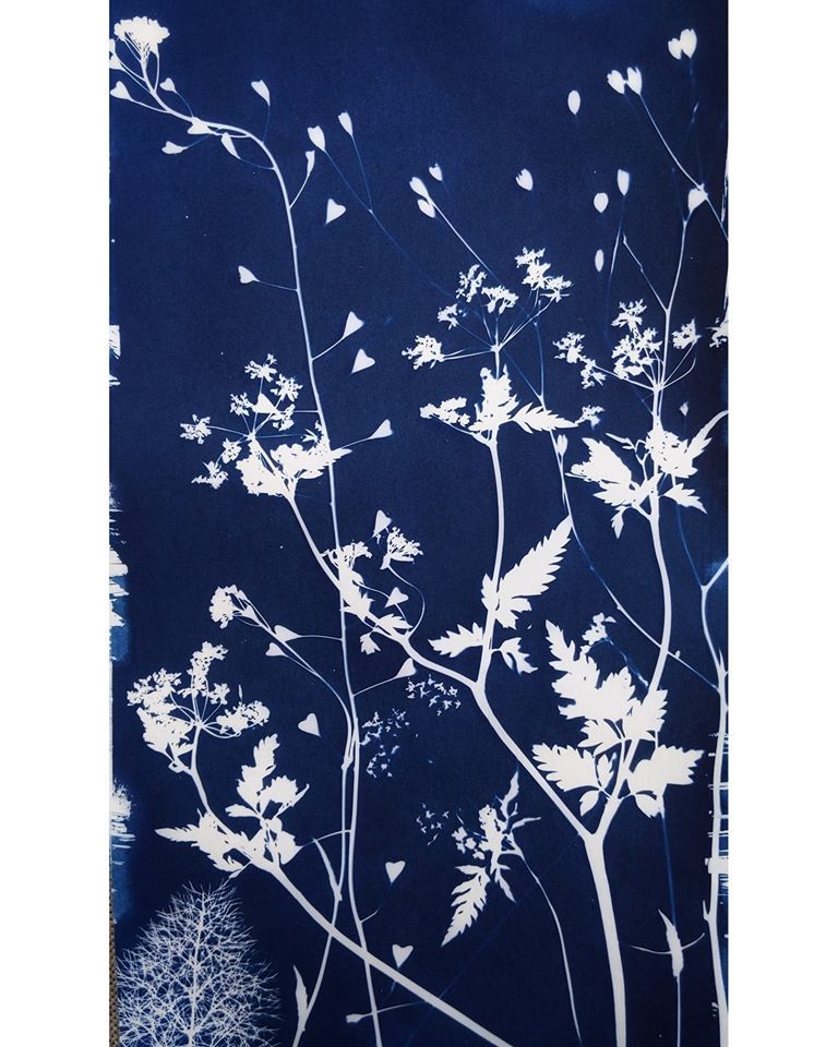 Untitled - Robin Jones