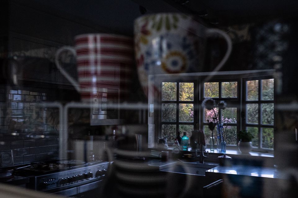 Lockdown life.  - Elizabeth Molineux