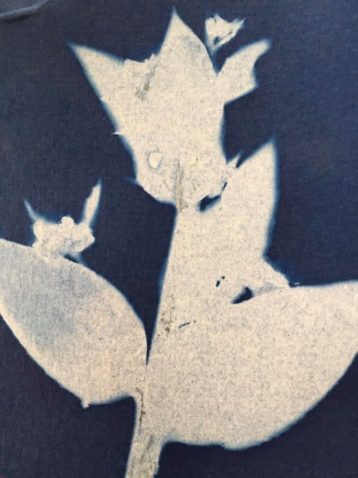 Untitled - Jo Gane