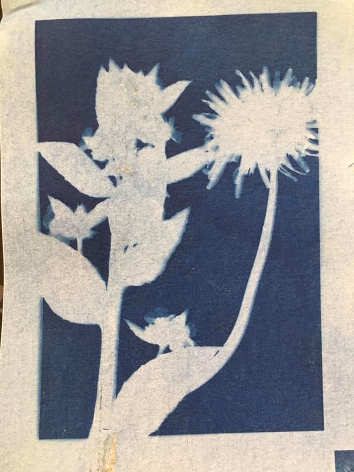 Untitled - Jo Gane