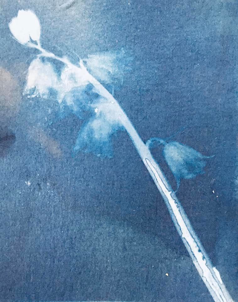 Untitled - Jo Gane
