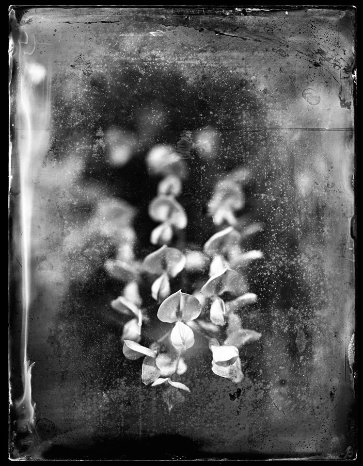 Approche -Elizerman Photography