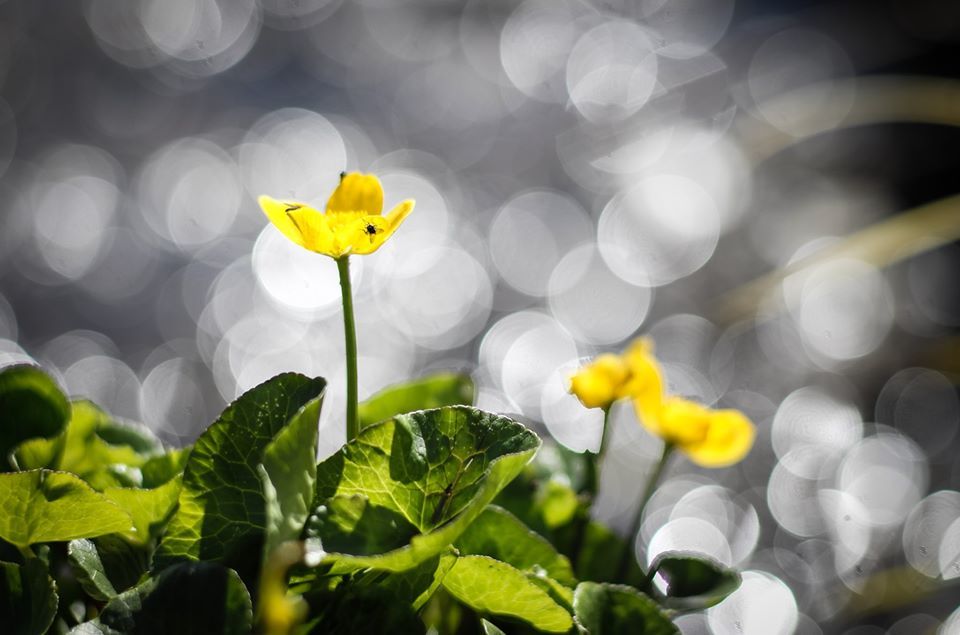 Untitled- Andrew Tobin