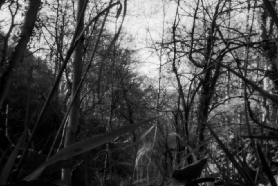 Untitled - Tony Vandevelde