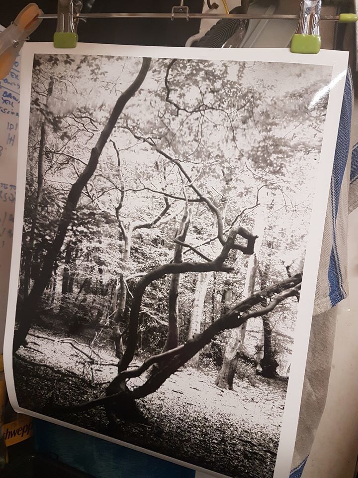 Untitled - Rob Munro