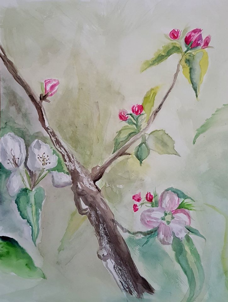 Untitled - Annabel Hill