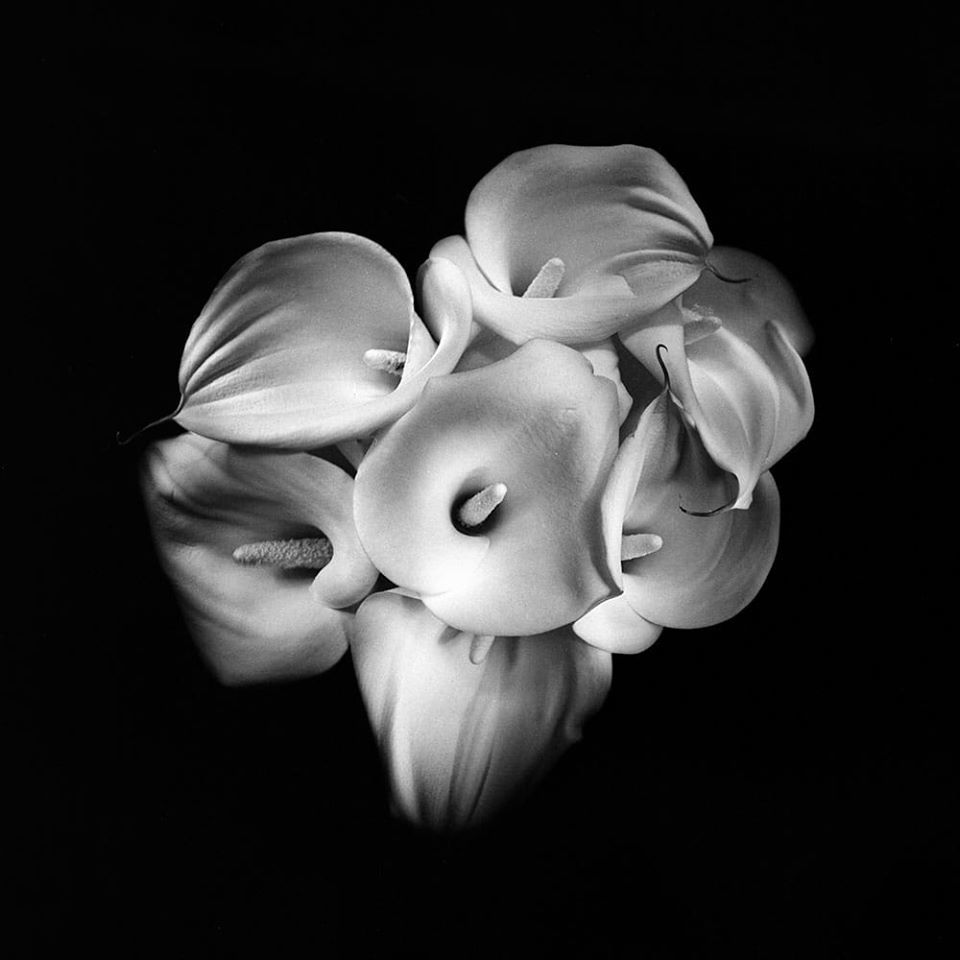 Untitled - Ksenija Spanec