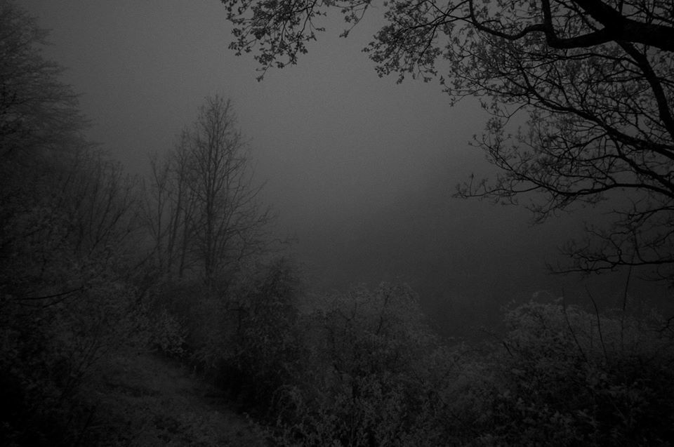 The mist is rising this evening. - Tony Vandevelde