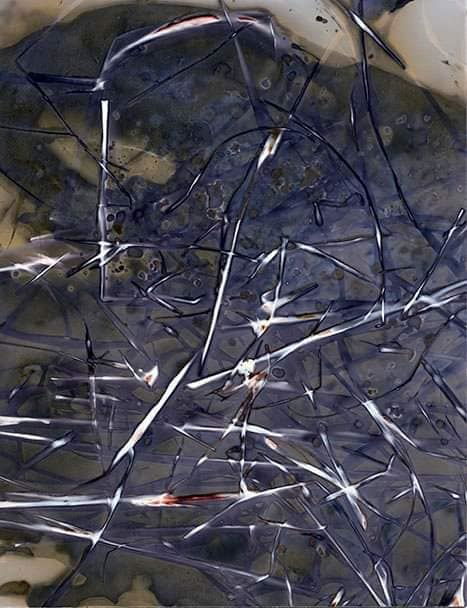 Untitled - Sarah Darke