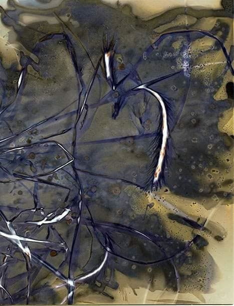 Untitled - Sarah Darke